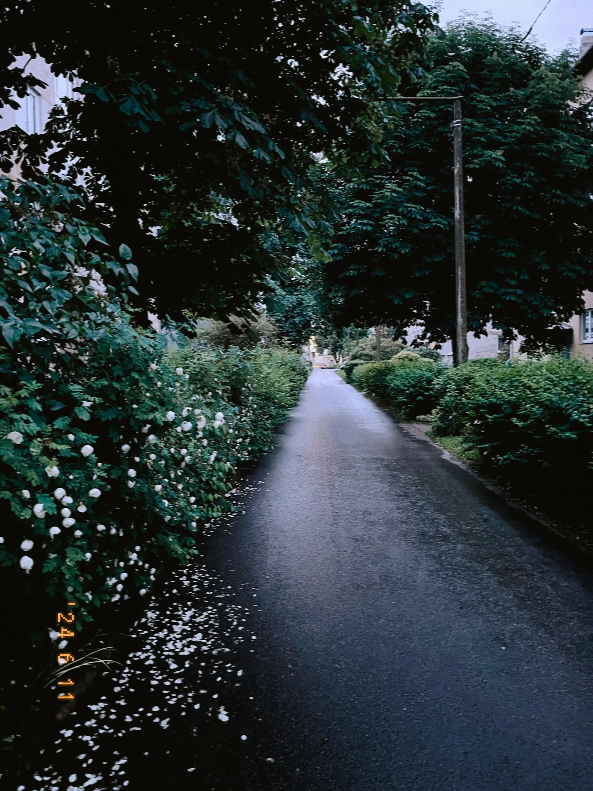 Sat, 13 Sep 2025 17:10:16 +0900